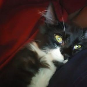 Meet your Posher, Stewart